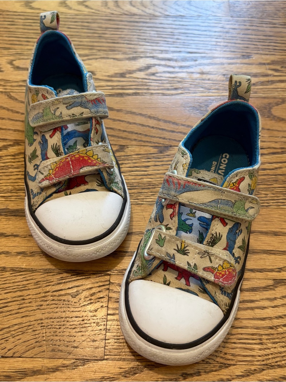 Converse Chuck Taylor All Star Sneakers Low-Top Dinosaurs